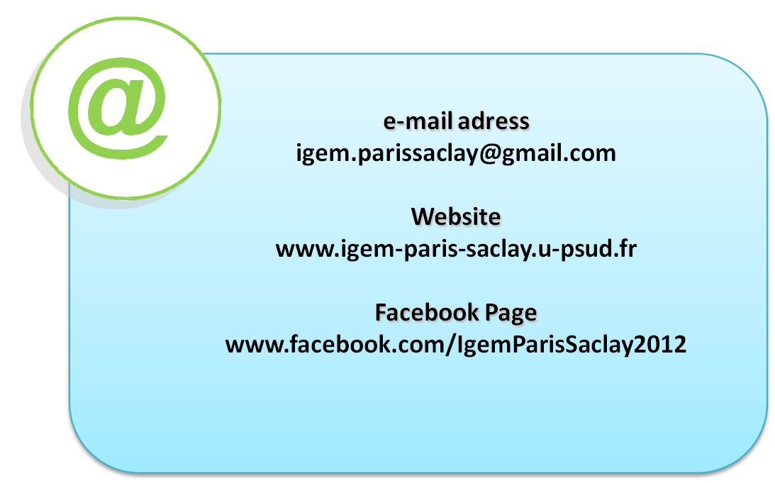 Contact US adresse 2.png