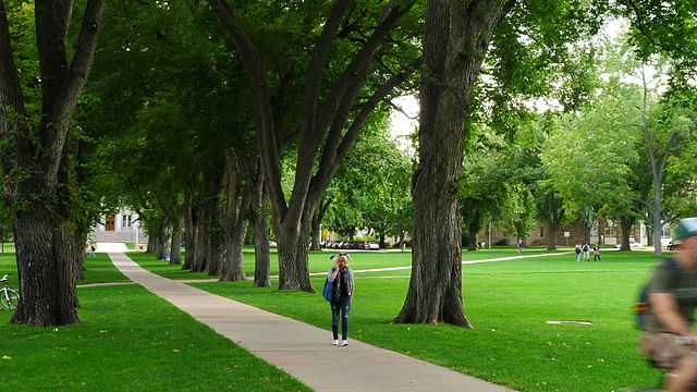 Colorado State Oval1.png