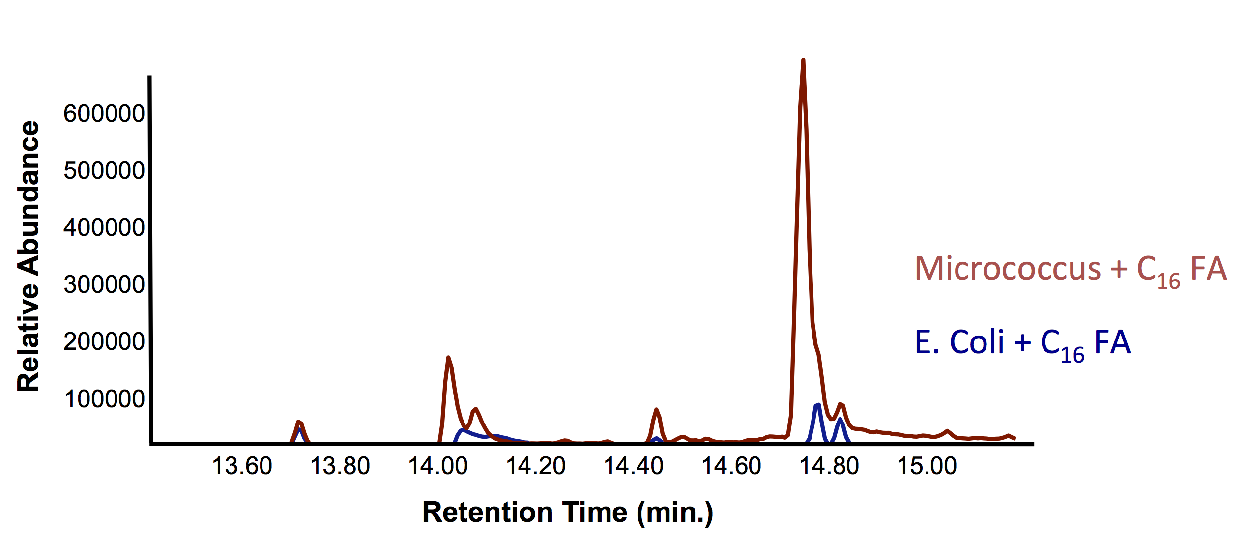 Figure 8.  Gas chromatograph demonstrating the production of olefins (alkenes) from fatty acids as shown from the increase in the peak with a retention time of 14.7 min.  The dramatic change in peak intensity at this point suggests that we are producing hydrocarbons.