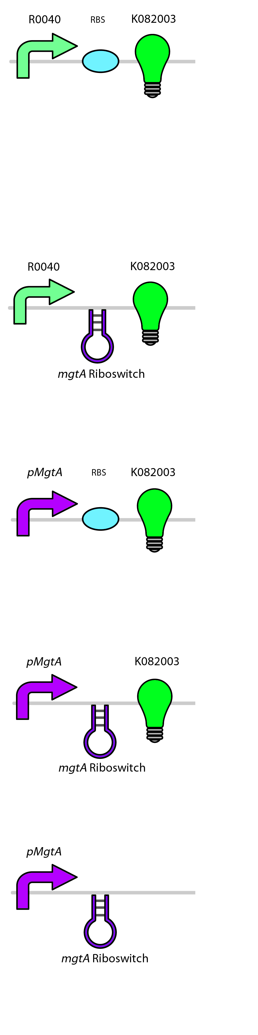 Figure 3: In these set of circuits, TetR-RBS-K082003 serves as a positive control and the mgtAp-mgtArb serves as a negative control.