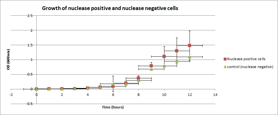 Growth of nuclease positive and nuclease negative cells.jpg