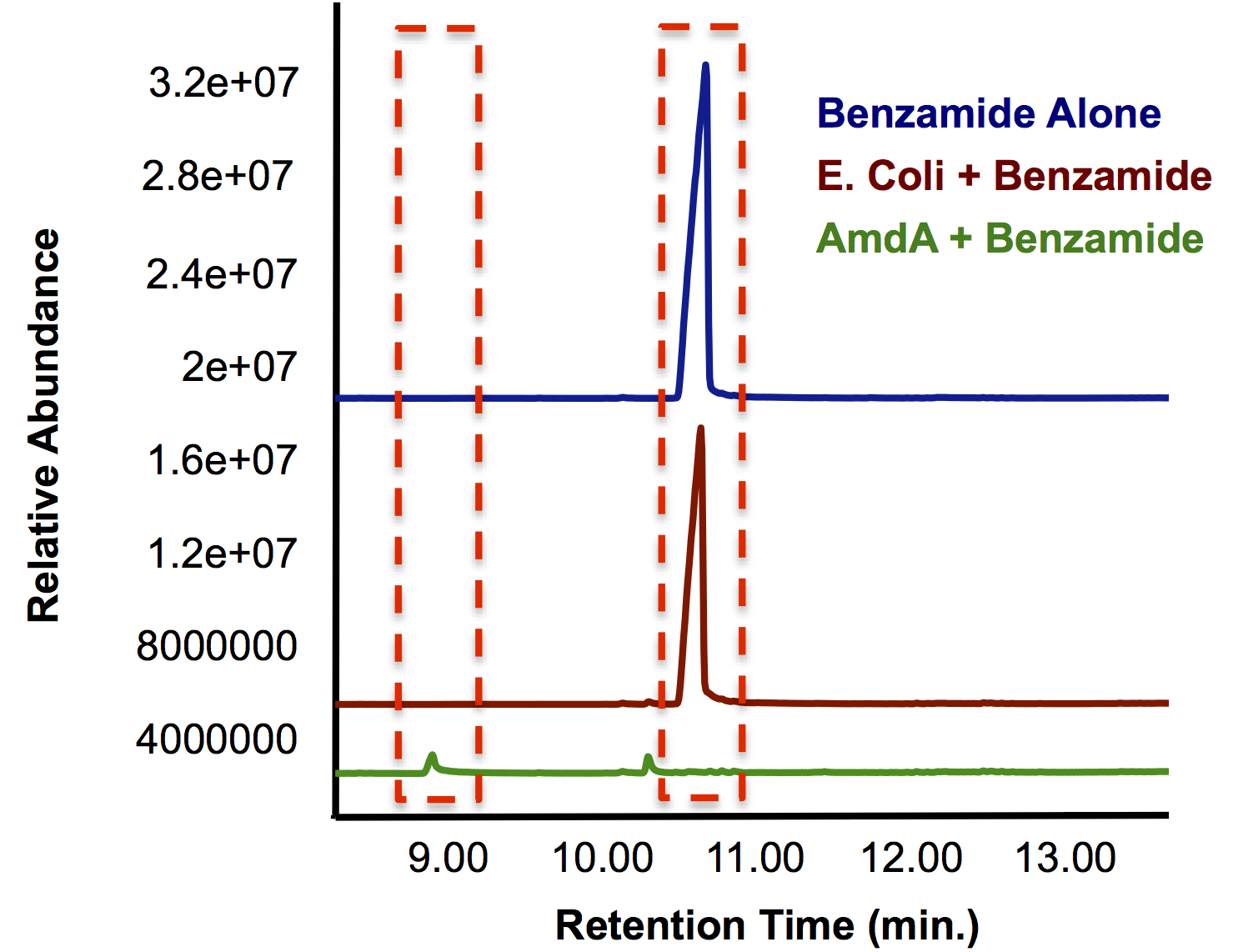 Figure 7: GC chromatograph demonstrating the degradation of benzamide by AmdA compared to an E. coli control.  Additionally, a smaller peak with an earlier retention time is produced solely in the sample run.
