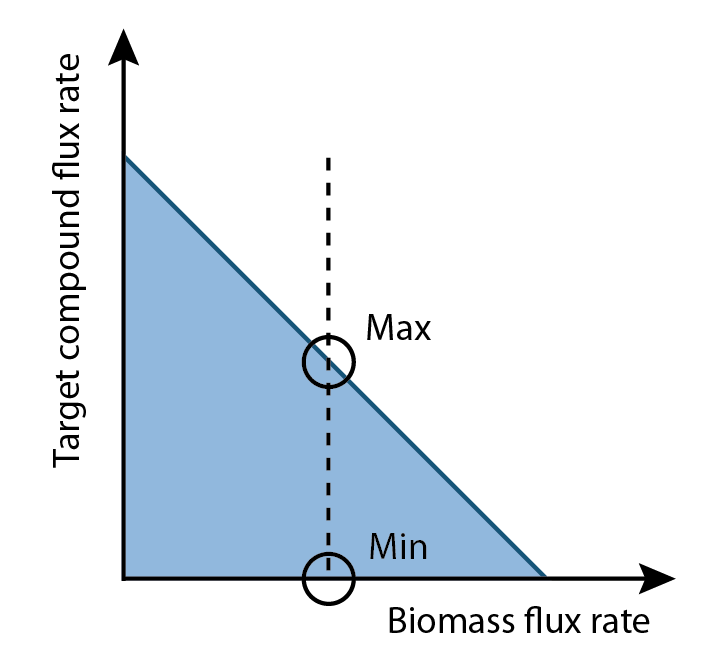 Figure 3. Illustration of maximum and minimum production rates computed by flux variability analysis based on optimal growth rate.