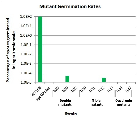 Germination RatesII.jpg