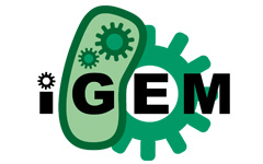 IGEM Logo.jpg