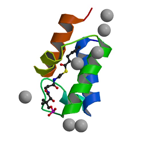 HexanoylACP structure.jpg