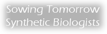 Sowing Tomorrow Synthetic Biologists