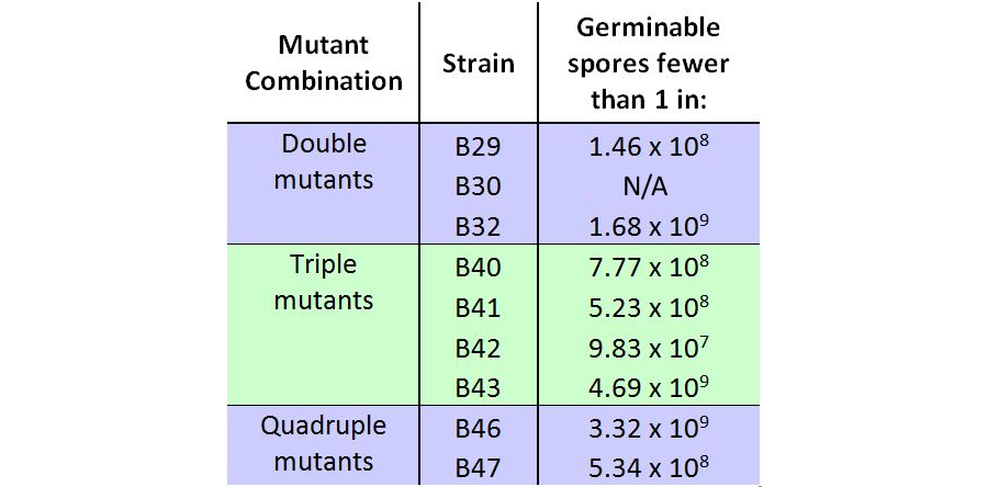 Germination rates for mutants ii.jpg