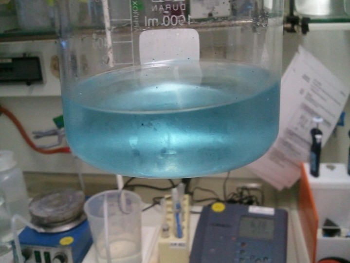 Cyanblue supernatant of the last washing step with MeOH. It indicates that all the green chromophores are already washed out, which means that only the protein-bound phycocyanobilin is still arrested in he pellet