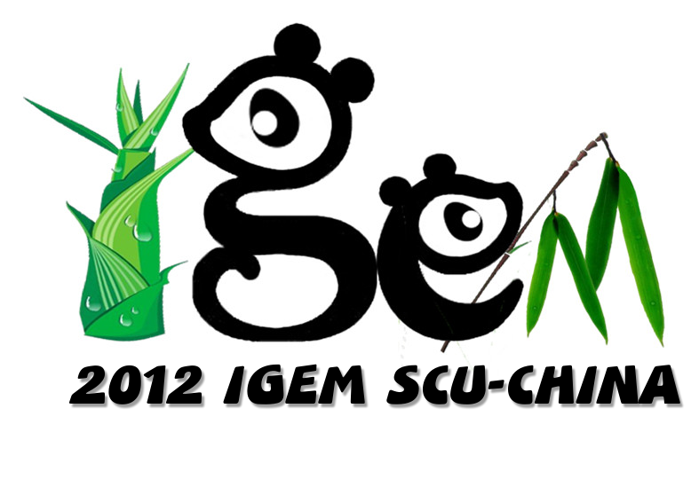 CD-SCU-CHINA logo.png