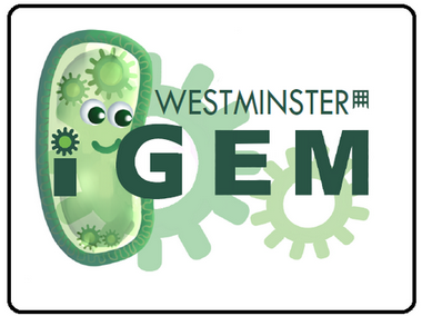 Westminster logo.png