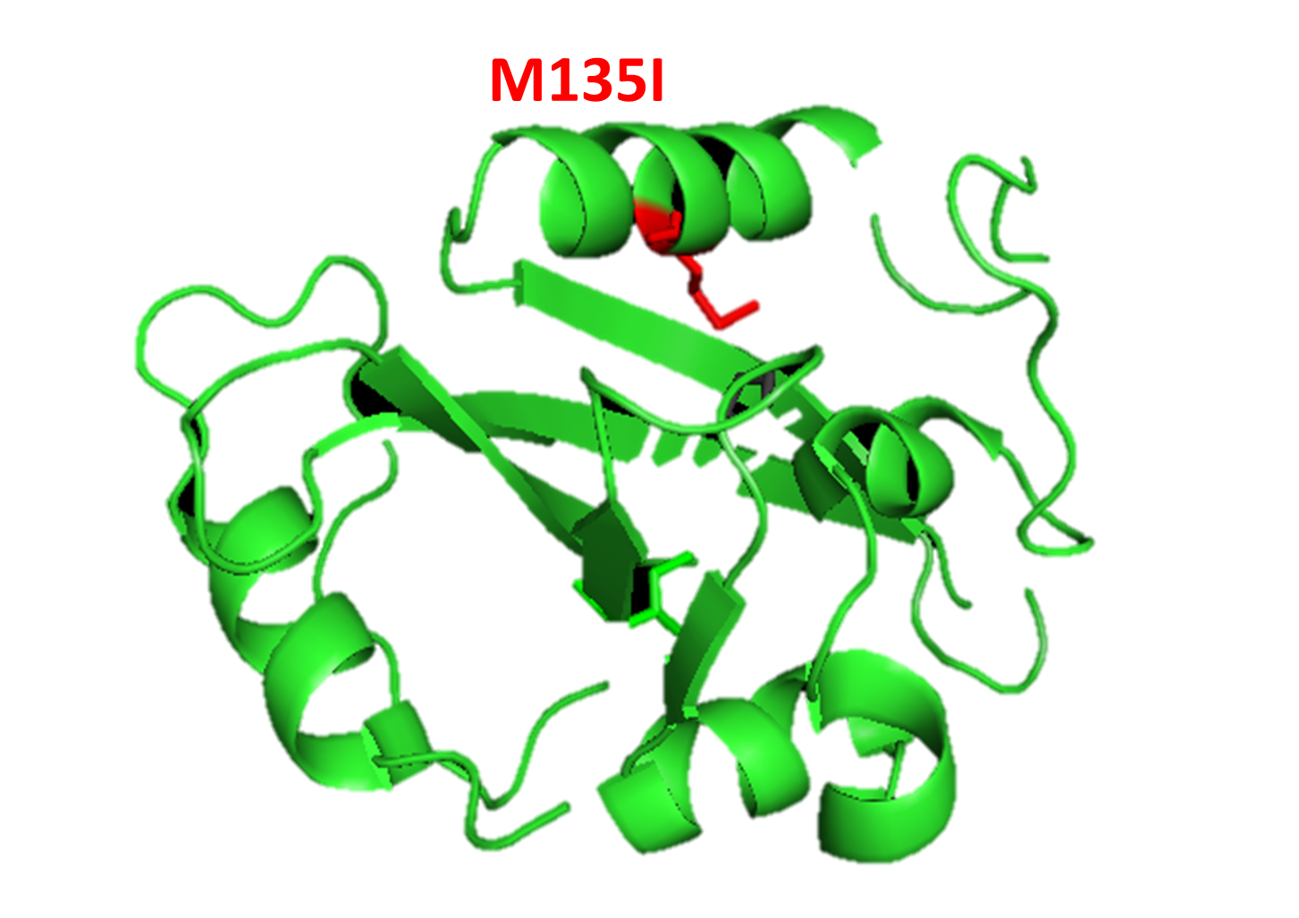 Figure 16. Mutation 2