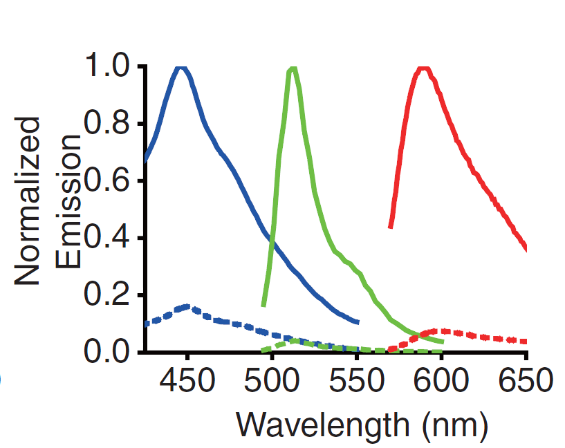 Fig. 2. Emission spectra GECO.png