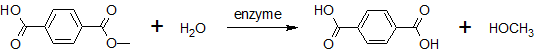 Principle of degradation of monomethyl terephthalate.png