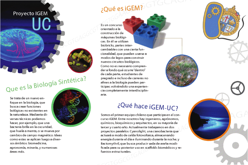 UC Chile-Ingenia3.png