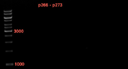TUM12 LS 0808 analytgel1.png