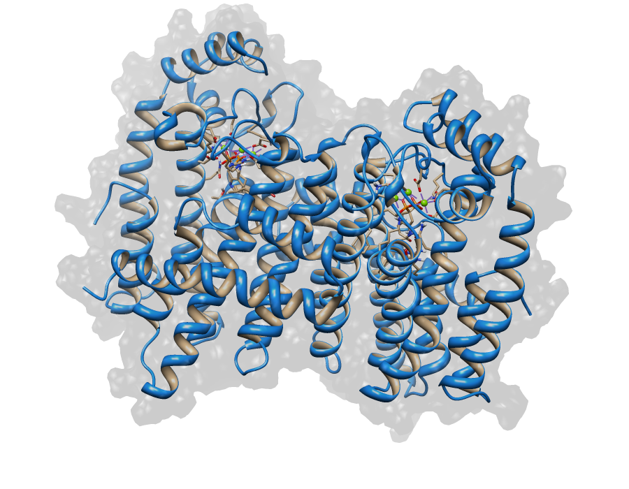FPP Synthase2.png