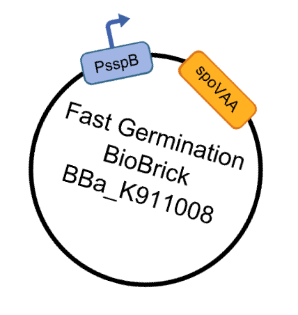 PSSPB CONSTRUCT webr.png