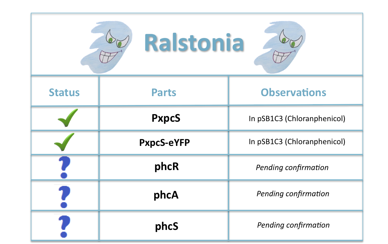 Ralstoniaparts.png