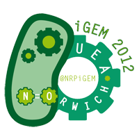 The NRP-UEA iGEM2012 Logo